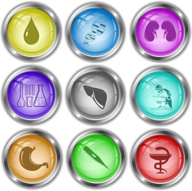 To Be an Organ Donor, Specific Attitudes Trump General Support, Study Finds