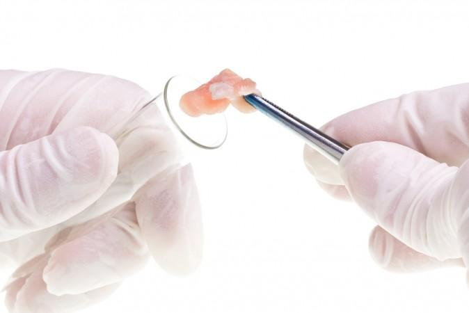 You can now EAT Your Favorite Celebrity, you Cannibal!