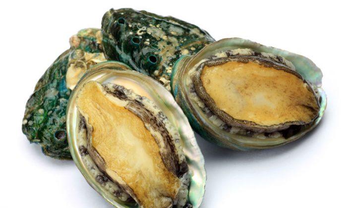 ‘Forensic Genomics’ Solves Dead Abalone Mystery