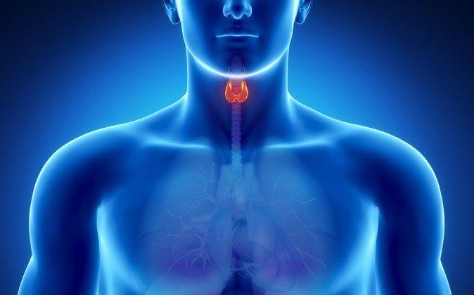 Treating the Root Cause of Thyroid Problems