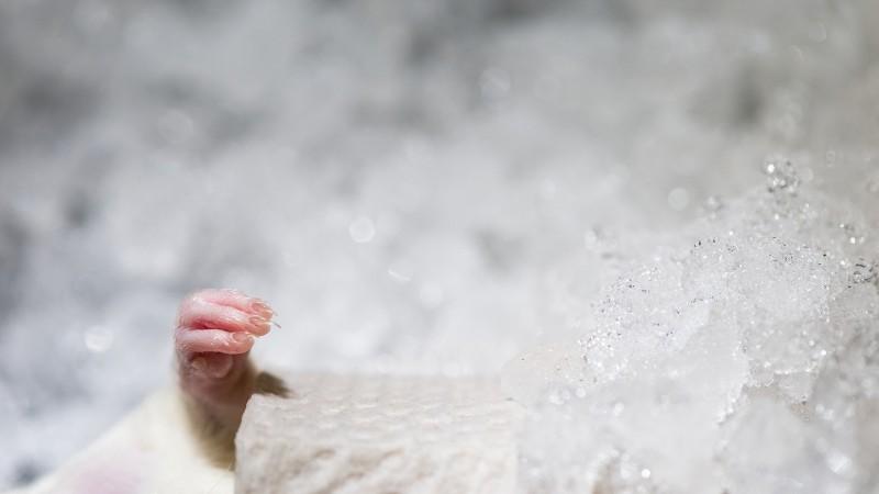 Suspended Animation: Future of Treating Life-Threatening Injury