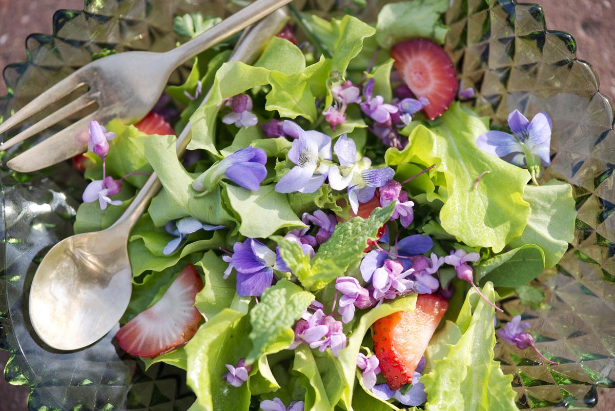A Spring Delectable: Wild or Garden Flower Salad 