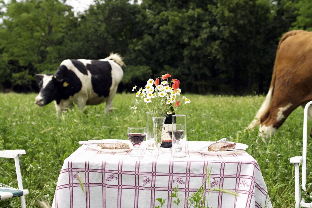 Picnic Fare French Style