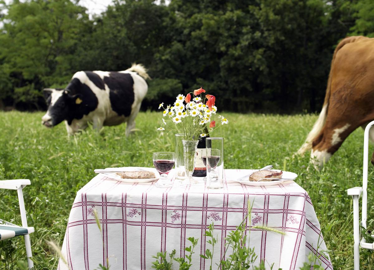 Picnic Fare French Style