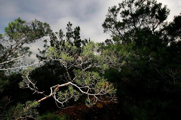 Making Every Penny Count for Conservation