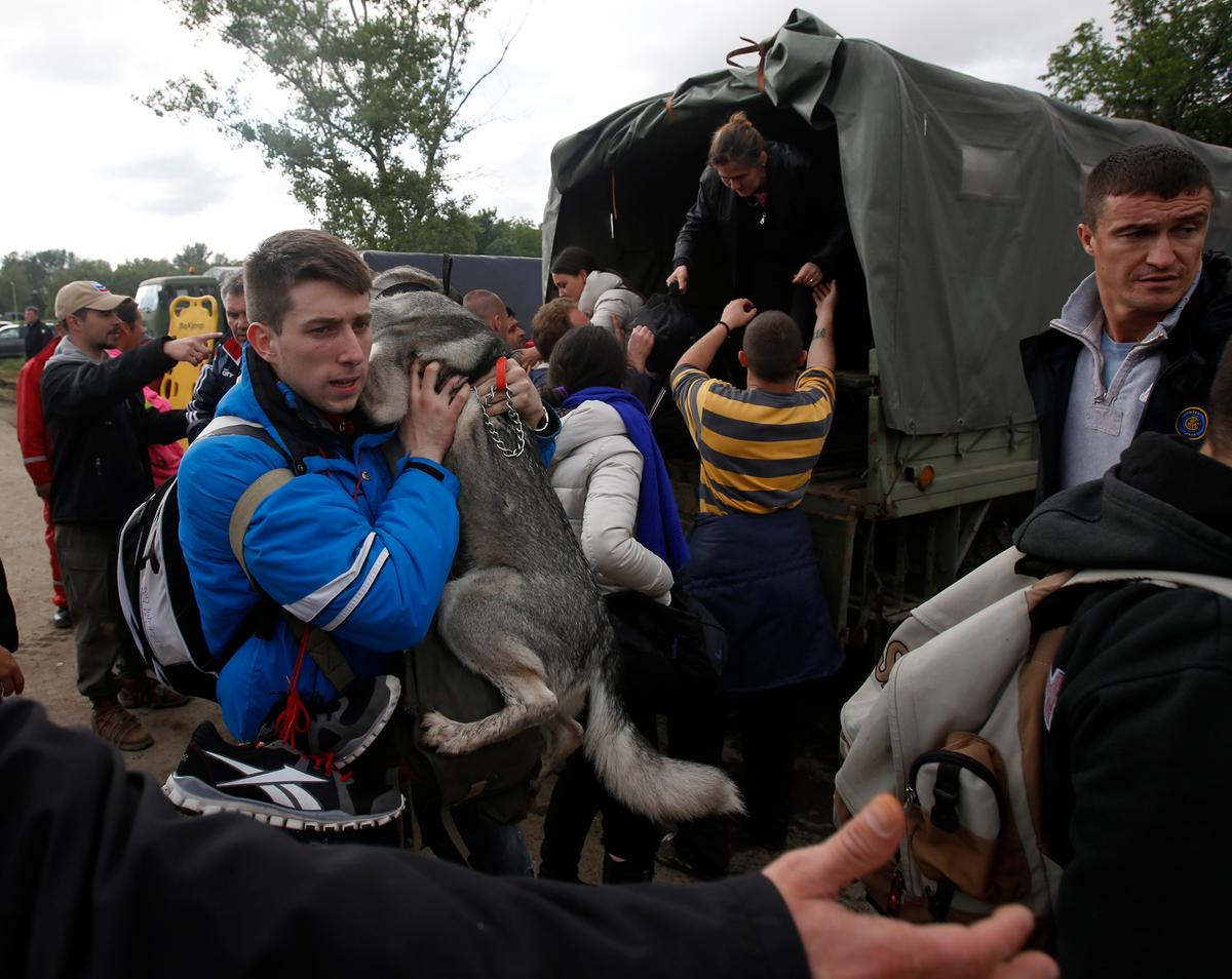 Flood-Drenched Balkans Must Deal With Tons of Drowned Livestock (+Videos, Photos)