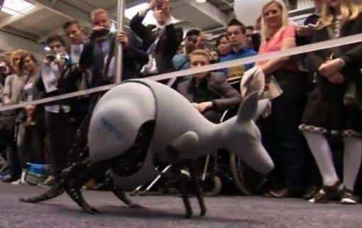 Watch a Robot Kangaroo in Action: Leap Forward in Technology