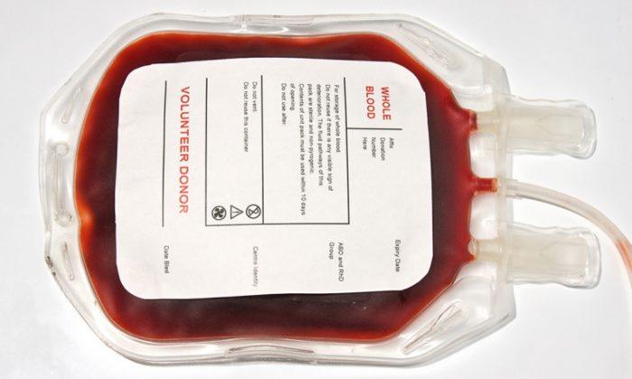 Is Recycled Blood Safer Than a Transfusion?