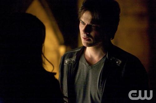 Vampire Diaries Season 6: Did Ian Somerhalder Request Damon's Death Over Nina Dobrev?
