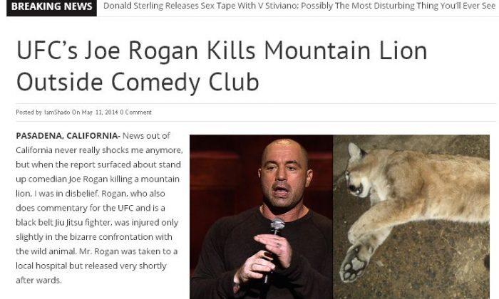 Joe Rogan ‘Kills Mountain Lion Outside Comedy Club’ is a Hoax; UFC Commentator is OK