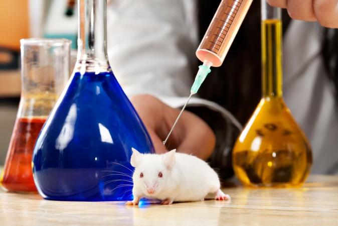 The Failing Animal Research Paradigm for Human Disease