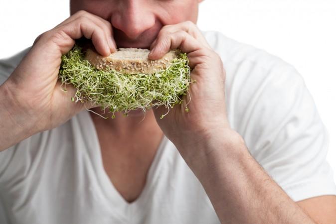 Sprouting: How to Grow Sprouts at Home for Low Cost Nutritious Meals