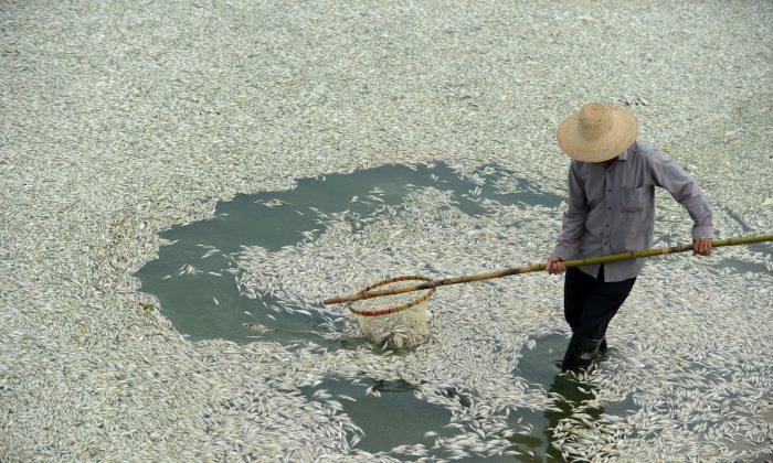 China’s Environmental Crisis in a Small Bottle of Black River Water