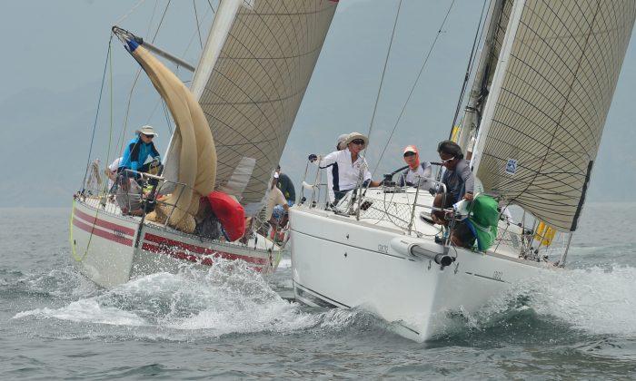 Good Support for Typhoon Series Yacht Races