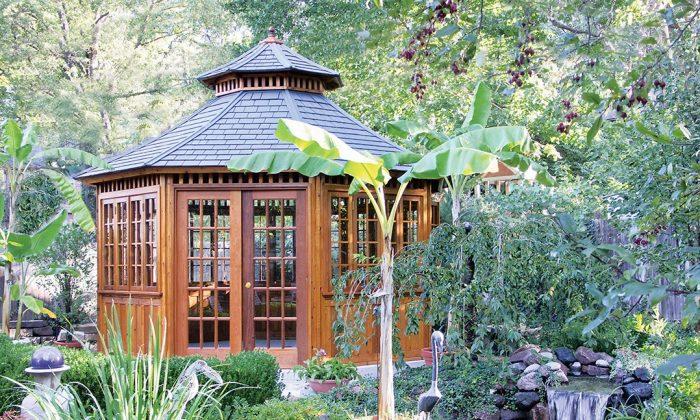 Transform Your Backyard Into an Oasis