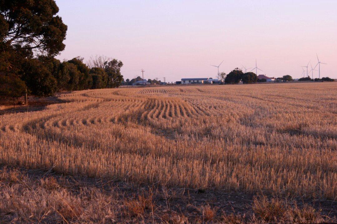 A Case of Nostalgia on Yorke Peninsula
