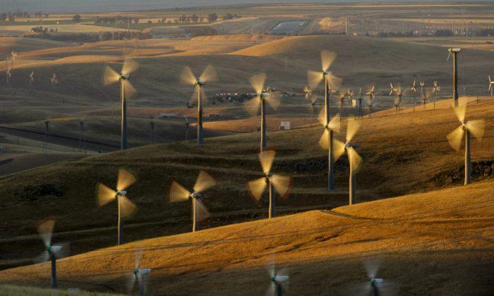 Wind Power to Create Ripple of Jobs Through 2050: Energy Report