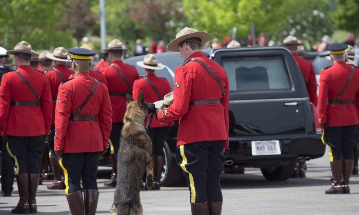 Danny the Dog Will Return to Work Following Partner’s Death: RCMP