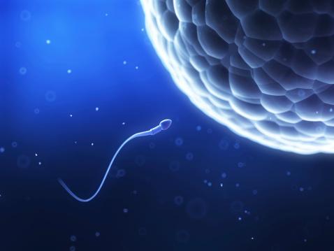 Is This Ubiquitous Toxic Metal Lowering Men’s Sperm Counts?