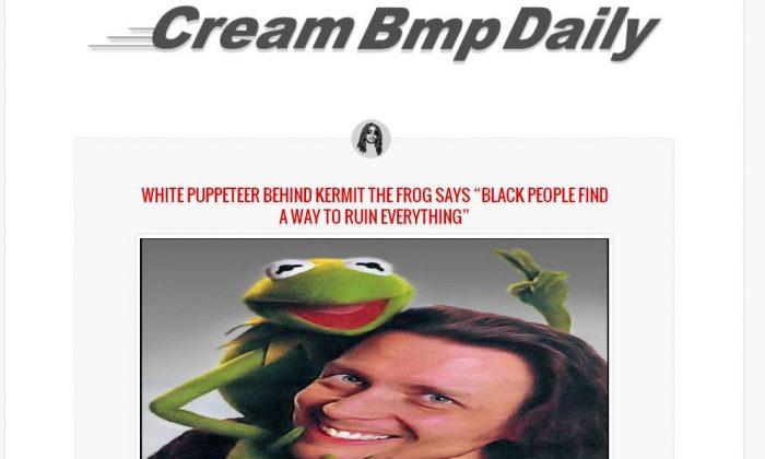 Kermit the Frog Meme Hoax: Racist ‘White Puppeteer Steven Wildfire’ Article Not Real at All