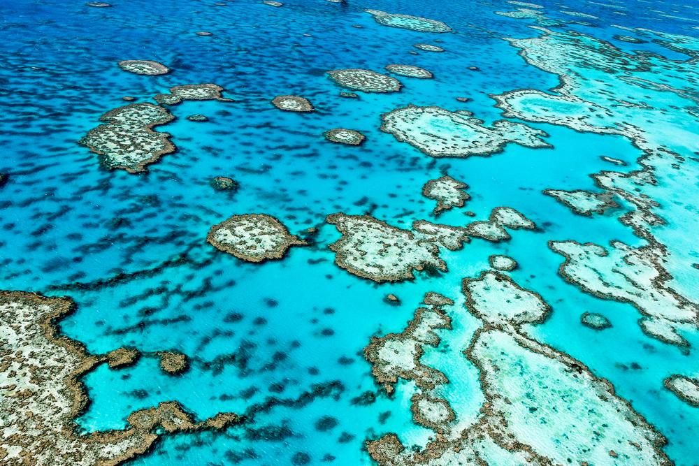 Labor to Give Extra $204 Million Boost to Great Barrier Reef