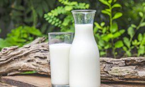 How Is Raw Milk Right-Wing?