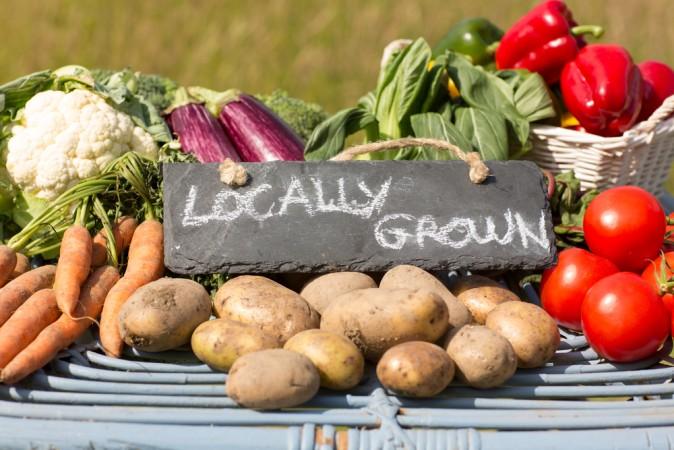 Why Local, Organic, In-Season Food Is the Right Choice