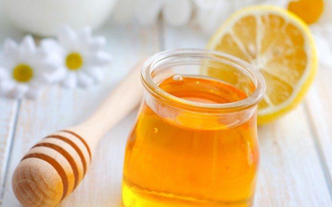 Honey Found to Have Potent Anti-Influenza Activity