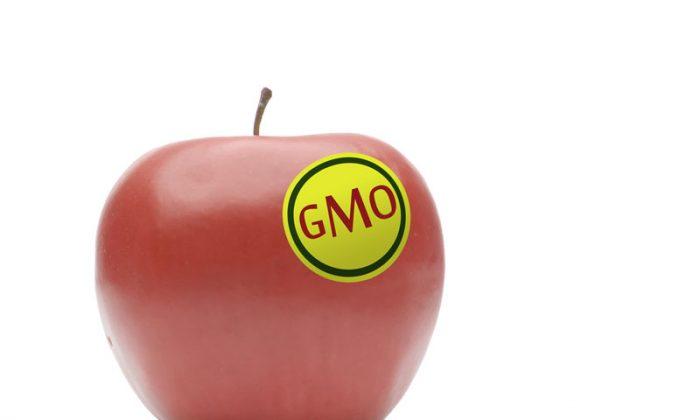 Readers Weigh In on GMO: ‘Eating Mad Scientist Projects,’ and the Right to Know