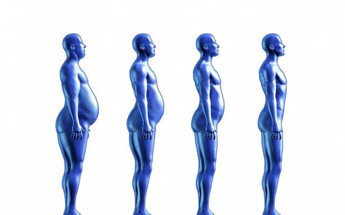 How Fat Loss Results Really Happen