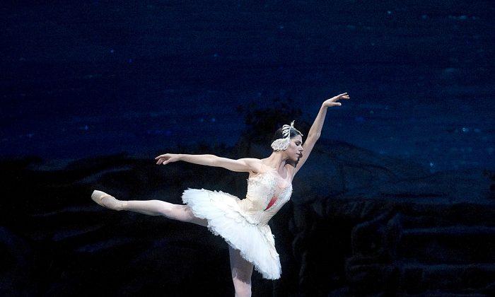 Elusive Creatures Soar in American Ballet Theatre Revival of Swan Lake