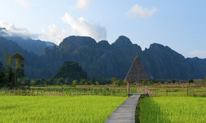 Magical Thailand: A Journey Through Food