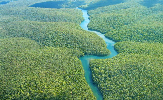 Mysterious Man-Made Ditches Predate Amazon Rainforest 