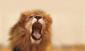 Hashimoto’s Disease: Your Body Is Not Supposed to Destroy Itself Right?