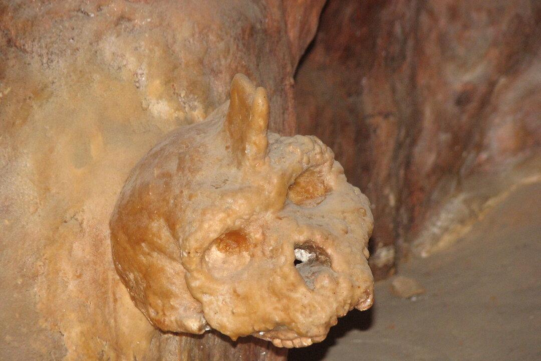 The Human Skull That Challenges the Out-of-Africa Theory