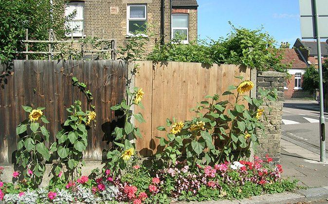 Look Out Behind the Bus Stop, Here Come Guerrilla Gardeners Digging Up an Urban Revolution