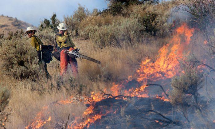 Explainer: Back Burning and Fuel Reduction, Wildfire Fighting Tactics