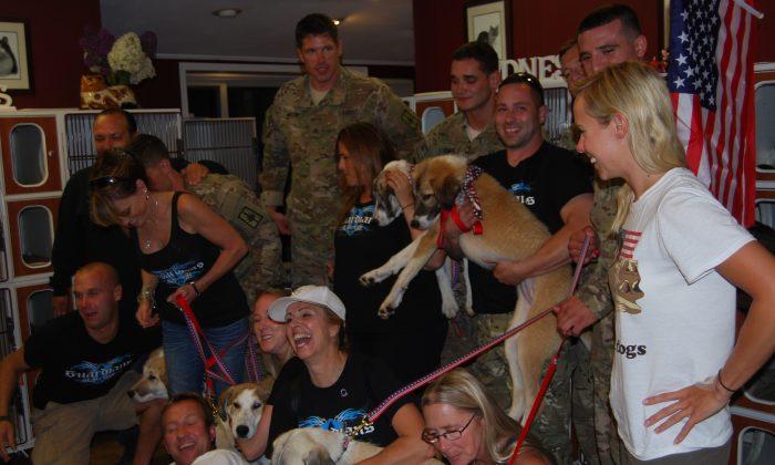 Group Brings Soldiers’ Lost Dogs to America