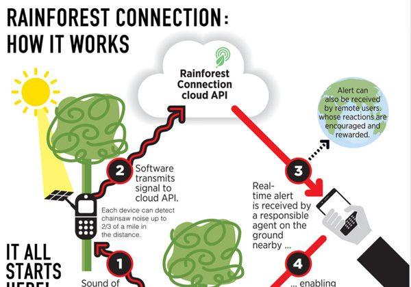 Phone Alert System Ready for Amazon Forest