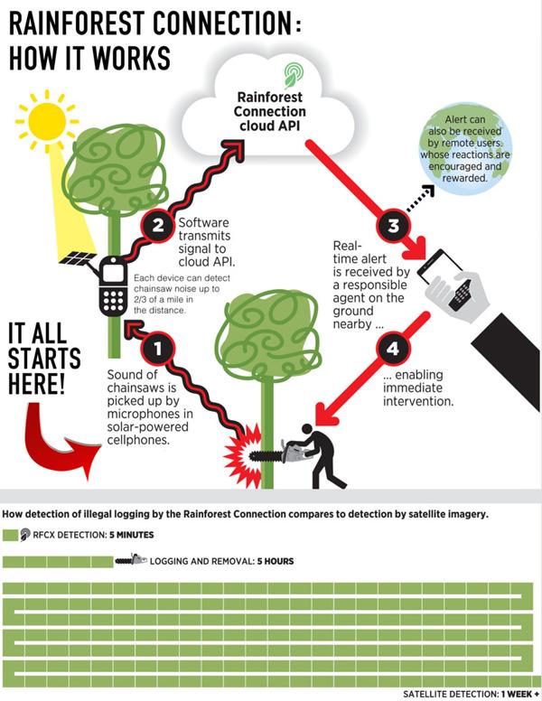 Phone Alert System Ready for Amazon Forest