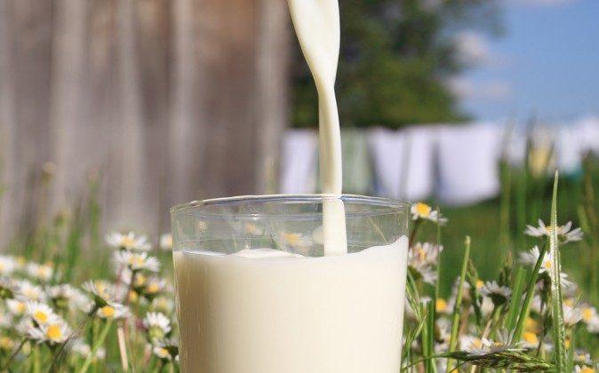 Raw Milk versus Pasteurized—Which Is Safer?