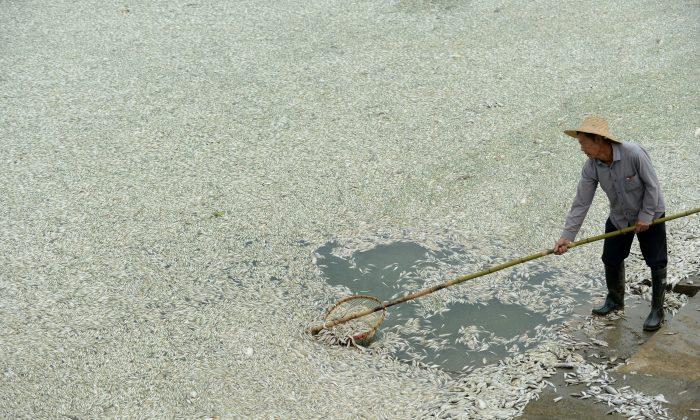 Recent Reports Detail Severe Water Pollution in China