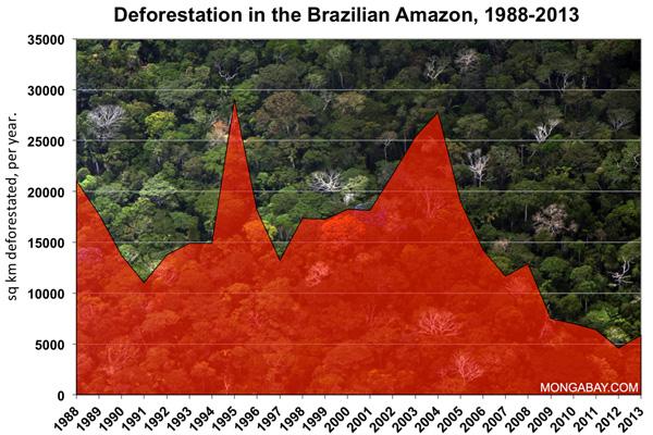 Targeted Enforcement Works for Amazon Conservation