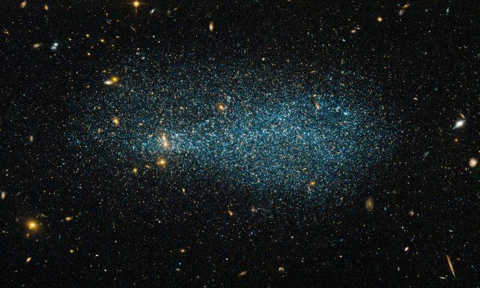 A Cosmic Two-Step: The Universal Dance of the Dwarf Galaxies