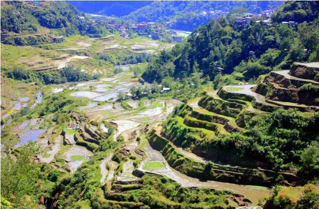 Stunning Scenery of Rice Terraces in Banaue, the Philippines