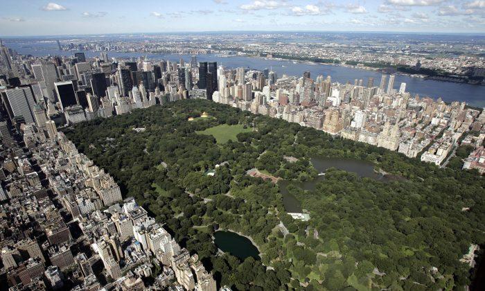 Jogger Beaten, Sexually Assaulted in Central Park: Reports