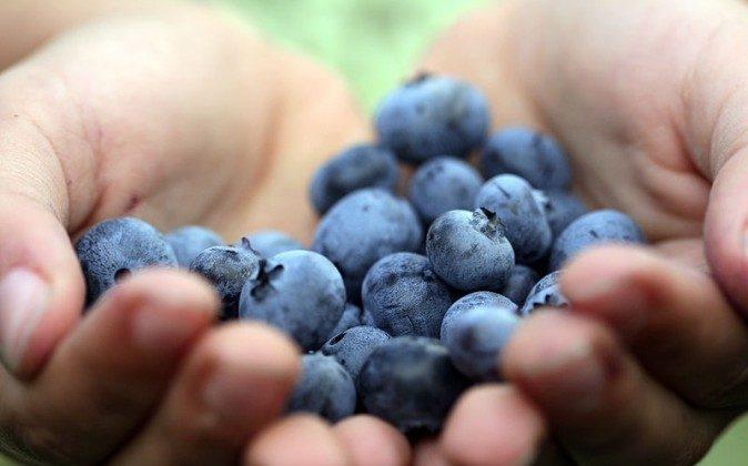 It’s National Blueberry Month, Enjoy!