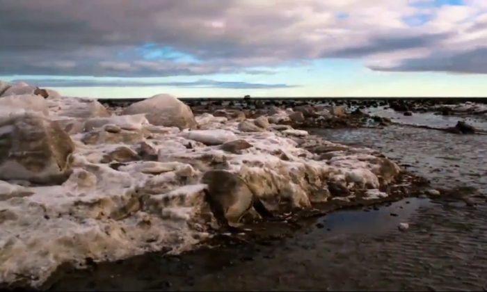 Arctic: Dangerous but Beautiful (Video)