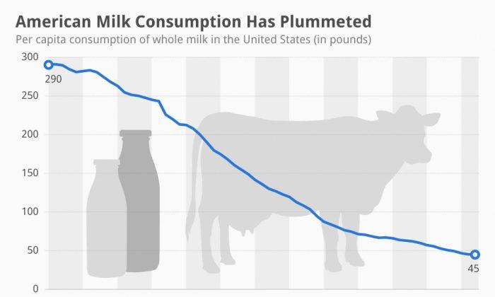 American Milk Consumption Has Plummeted (Infographic)