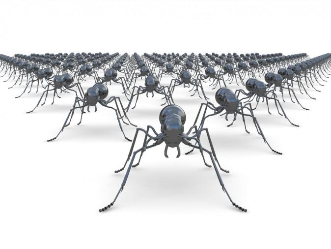 10 Natural Ways to Beat an Ant Invasion